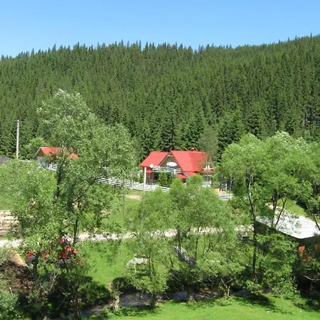 Podina *